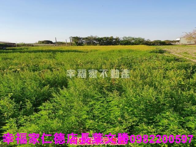 台南安南農地-15