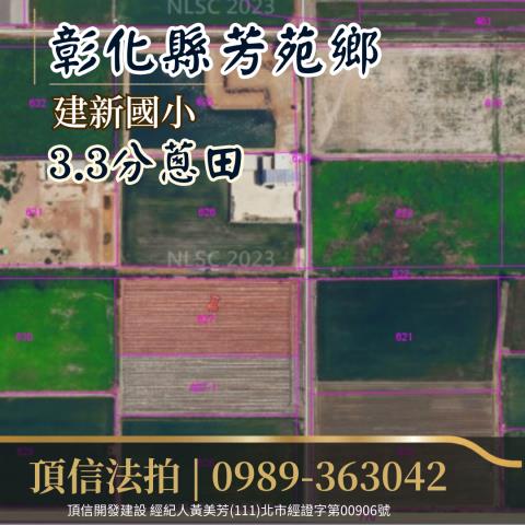 彰化芳苑拍賣農地-3