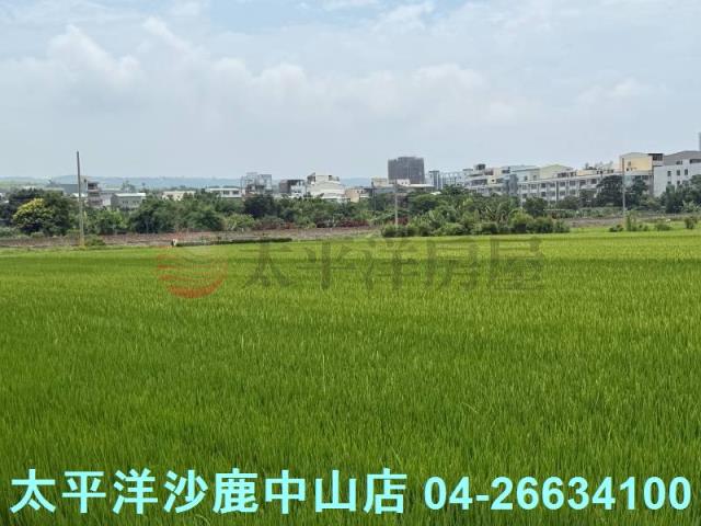 沙鹿建地-9