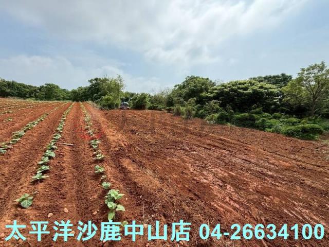 沙鹿保護地-6