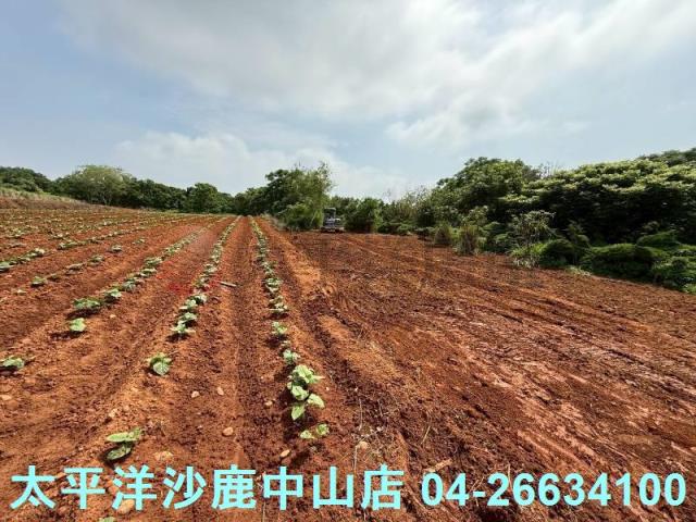 沙鹿保護地-7