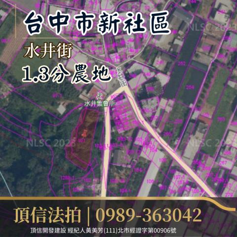 台中拍賣農地-3