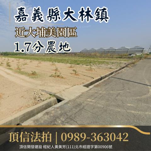 嘉義大林農地法拍-1