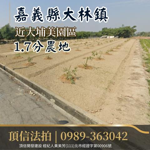 嘉義大林農地法拍-2