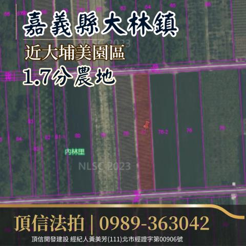 嘉義大林農地法拍-3