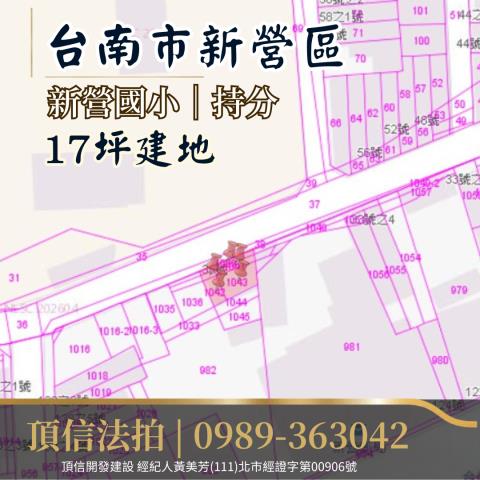 台南新營建地拍賣-4