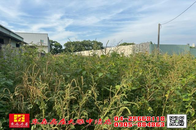 台中大雅農地-2