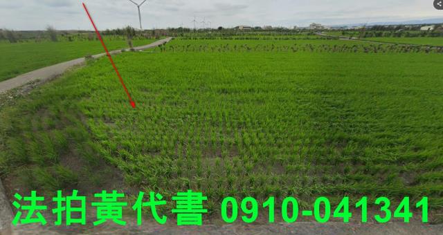 大安區農地拍賣-2