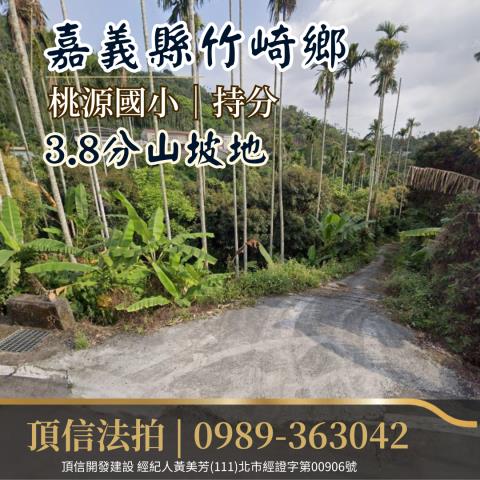 竹崎法拍農地-1