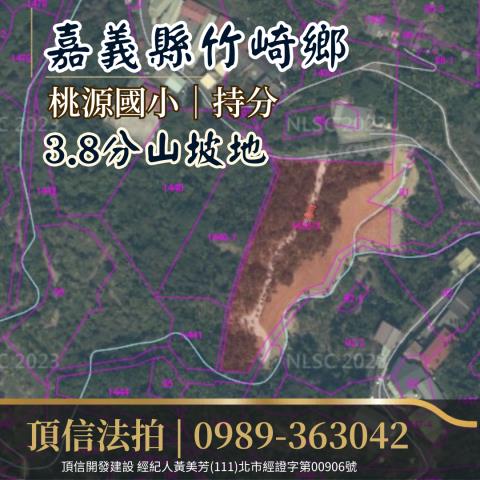 竹崎法拍農地-3