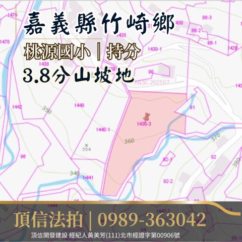 竹崎法拍農地-4