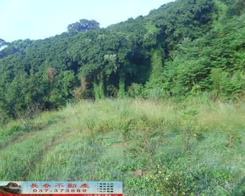 苗栗農地-1