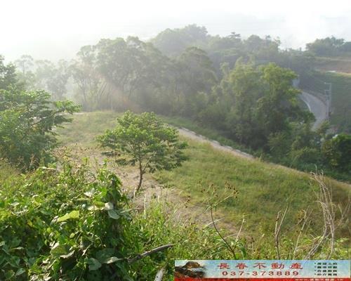 苗栗農地-2
