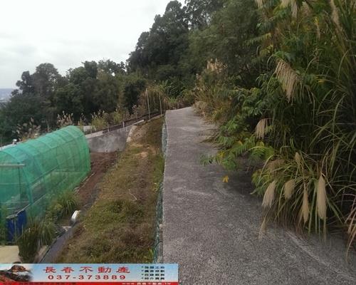 苗栗公館農地-2