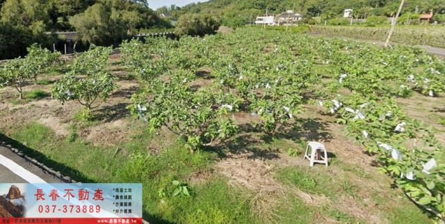 苗栗苗栗市農地-1