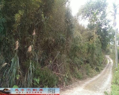苗栗銅鑼農地-2