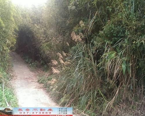 苗栗銅鑼農地-3