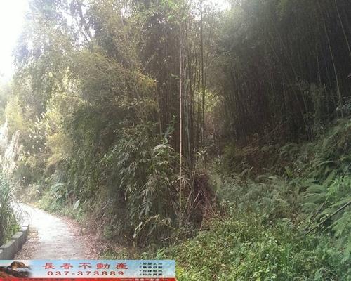 苗栗銅鑼農地-4