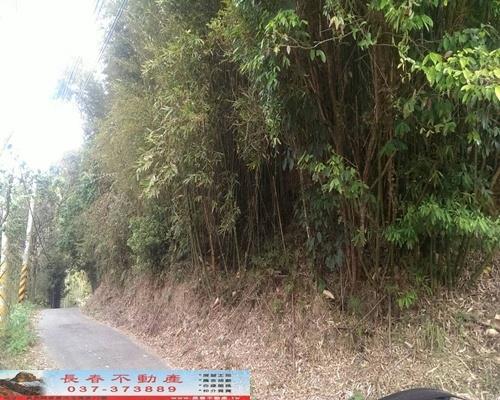 苗栗銅鑼農地-1