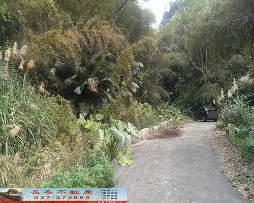 苗栗農地-1