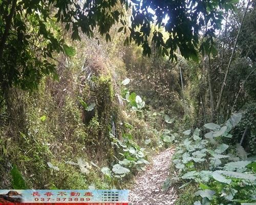 苗栗農地-3