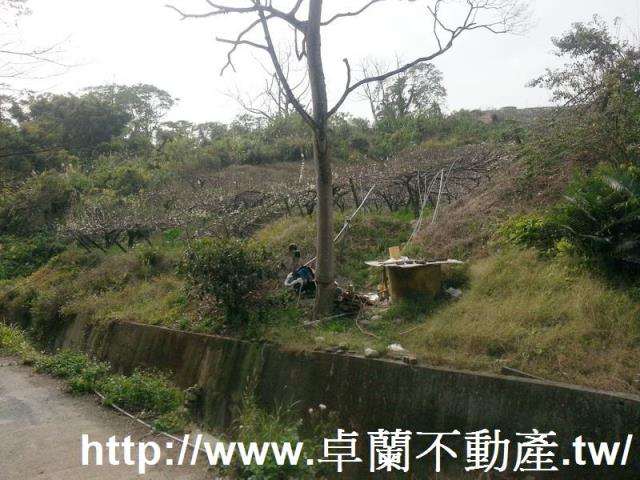 卓蘭農地-3