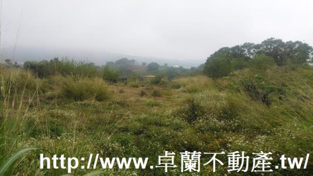苗栗農地-1