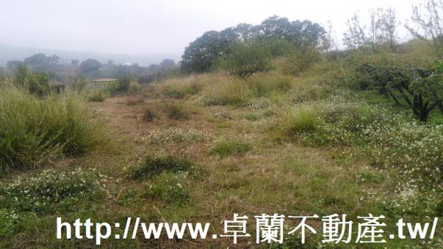 苗栗農地-2