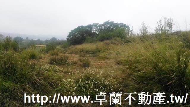 苗栗農地-3