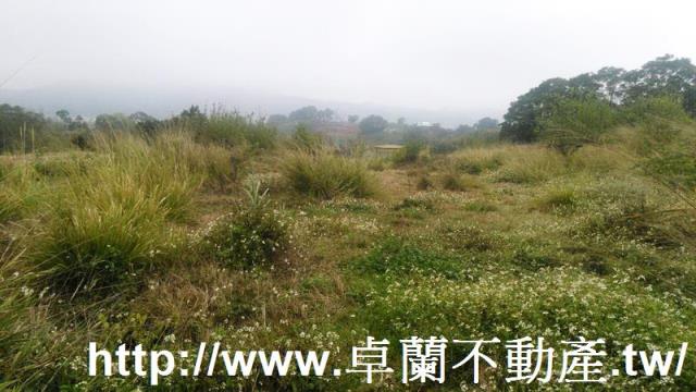 苗栗農地-4