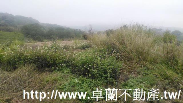 苗栗農地-7
