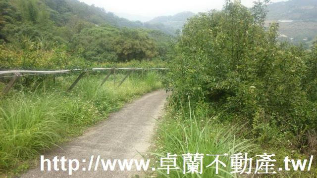 卓蘭農地-2