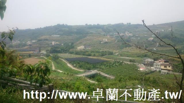 卓蘭農地-4