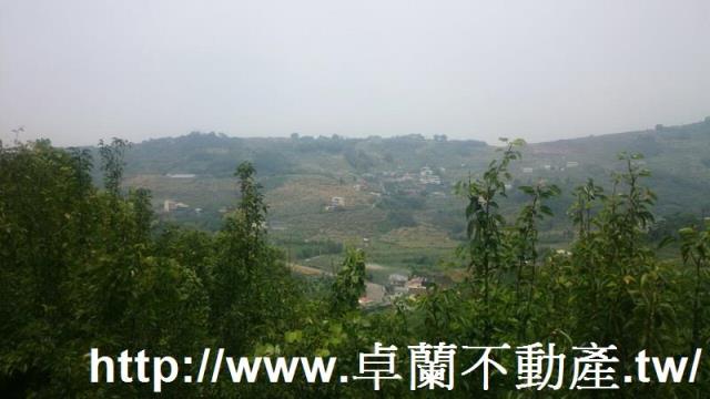 卓蘭農地-5