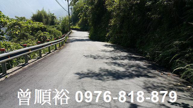 尖石林地-3