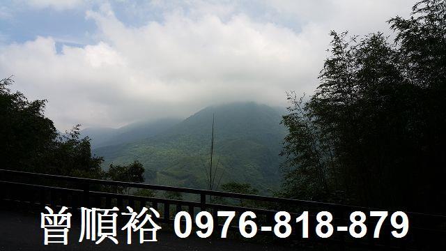 尖石林地-2
