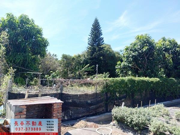 銅鑼農地-1