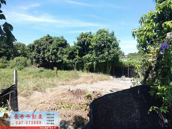 銅鑼農地-3