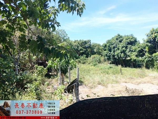 銅鑼農地-4