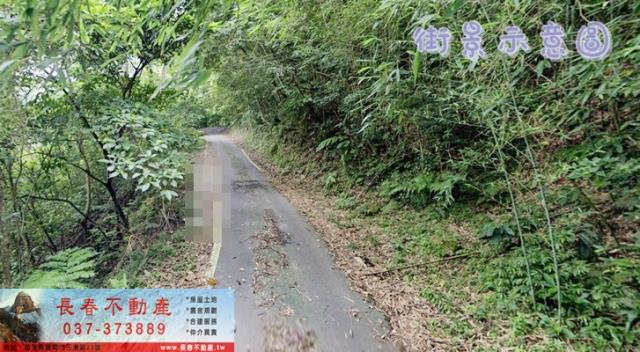 苗栗林地-1