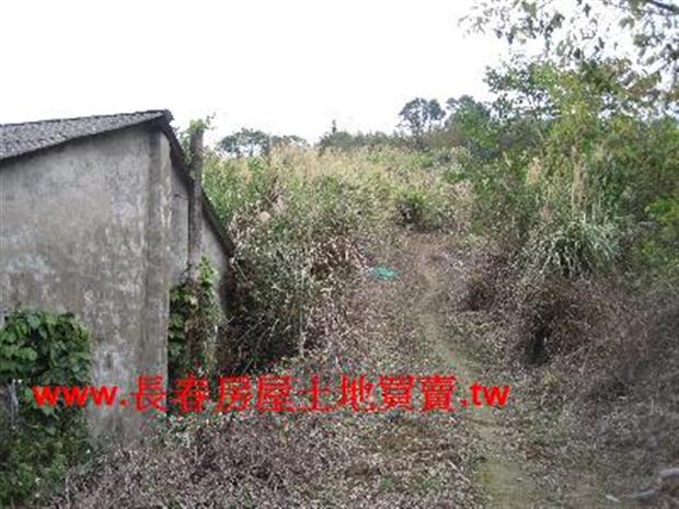 大湖農地-2