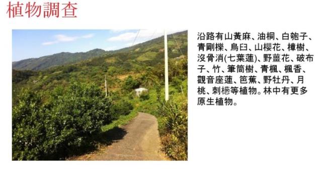 苗栗大湖農地-6