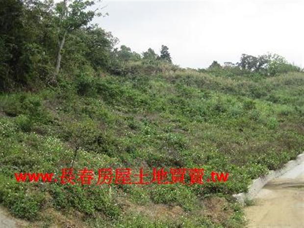 苗栗農地-1