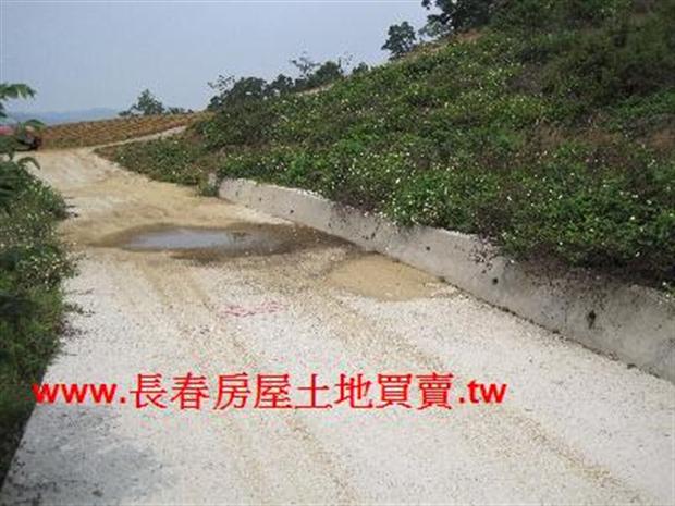 苗栗農地-6