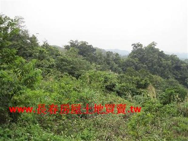 苗栗農地-3