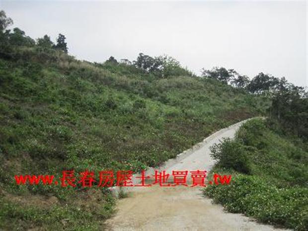 苗栗農地-5